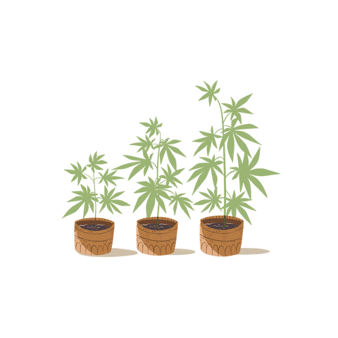 Grow Serie
